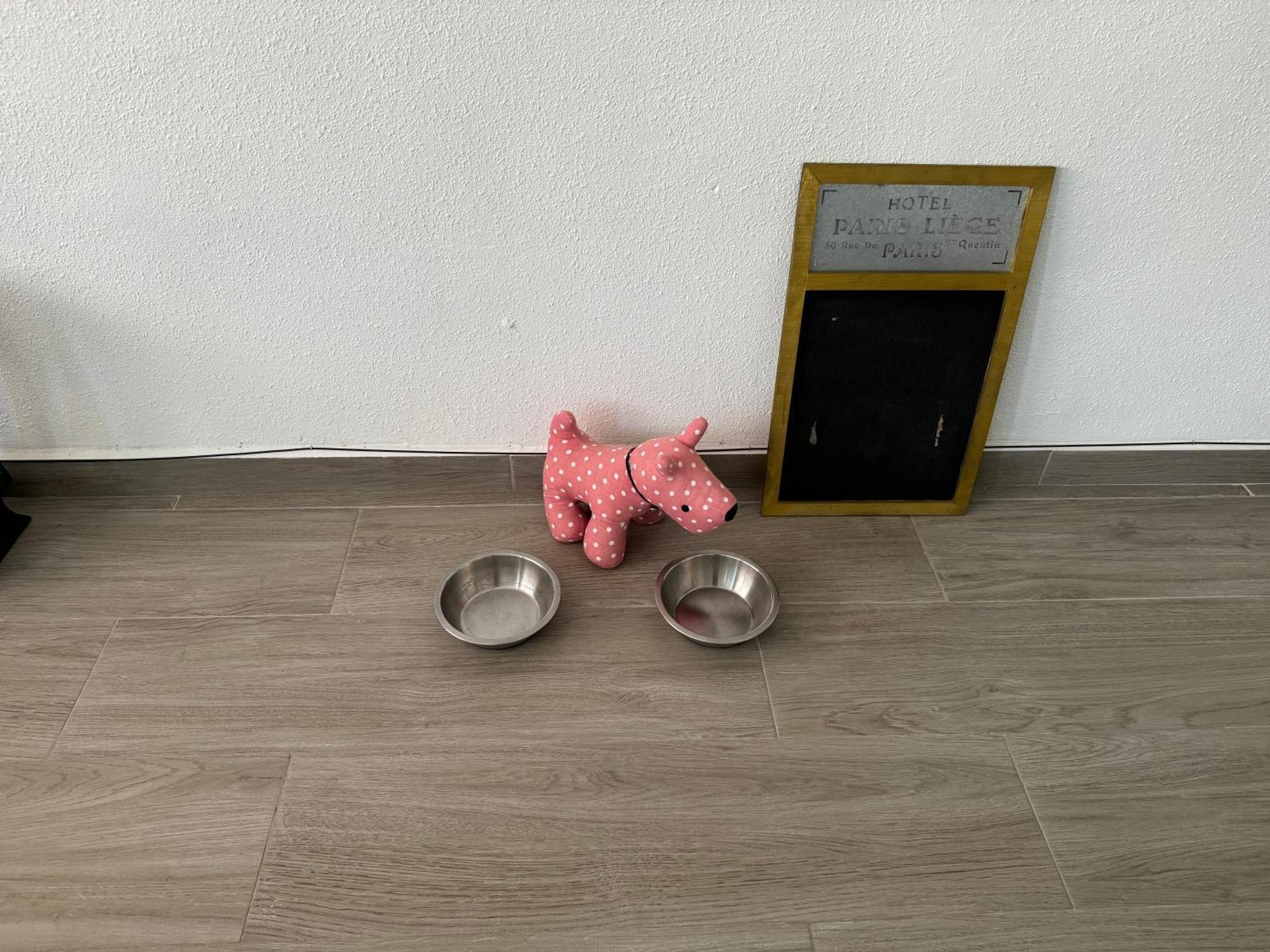 Djcumar Apartment Cullera Bagian luar foto
